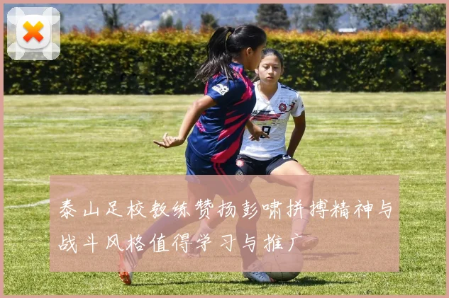 泰山足校教练赞扬彭啸拼搏精神与战斗风格值得学习与推广