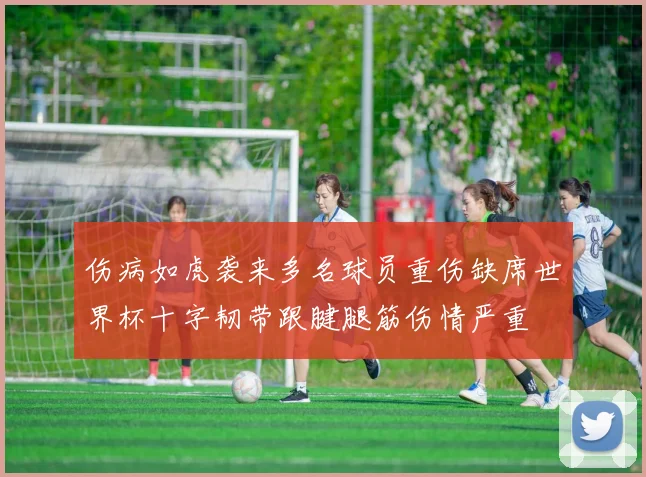 伤病如虎袭来多名球员重伤缺席世界杯十字韧带跟腱腿筋伤情严重