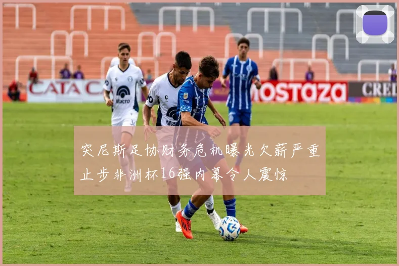突尼斯足协财务危机曝光欠薪严重止步非洲杯16强内幕令人震惊